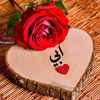 amllezzat2