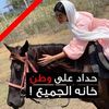 norafaris5
