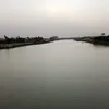 ahmadaalllamei