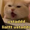 __teddybear2__