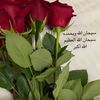 aishash09