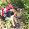 this_is_adul