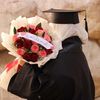 Wensa_alf