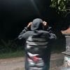 pless_39