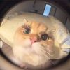 pwettymistaken