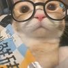 iky_iky228