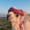 عوااافي