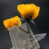 طيف العنزي