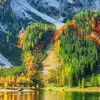 alihassn391
