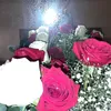 najii_63