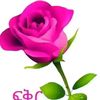 cabdikaafi06