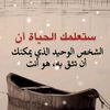 user824549810