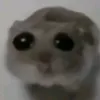 polysladk