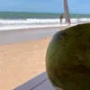 gagshgshdd