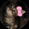 mirelkqa