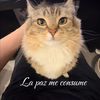 la_paz_me_consume091