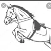 horseeditz.from.ig
