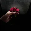 علوية