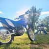 dylon_beckstead