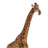im_a_giraffe_maybe