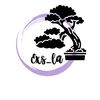 exsi_kusuma
