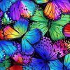 jolanda_leal