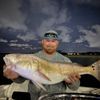 shark2395