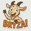 bryza2020