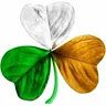 ciaranayresquinn