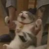 jjjjjiiiiiiiiaaaannn