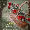 user5539381606211