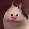 user43796