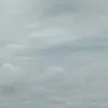 fiersabesari_