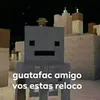 hexx804
