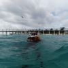 bdputranto