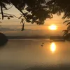 thu_thuy_589