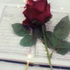 user0l68b29sex