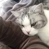 chatchat2005