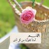 user73881270085627