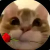 lovenhmemkhongyeu