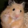 nataniel.0_