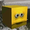 kottokottoo