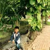 nhuandpham