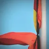 kuncongchua_
