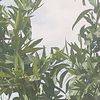 user31105490