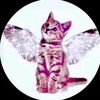 angelcooholic