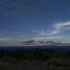 taivu2005