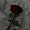 ms_rosew