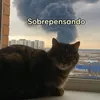 walterpdrk