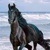 anettmattauchostwind